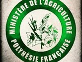 Le ministère de l'agriculture
